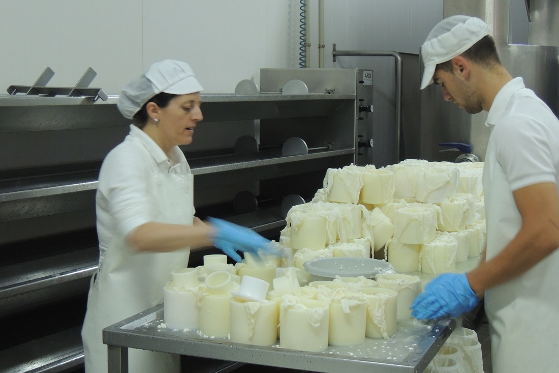 fabricación de quesos