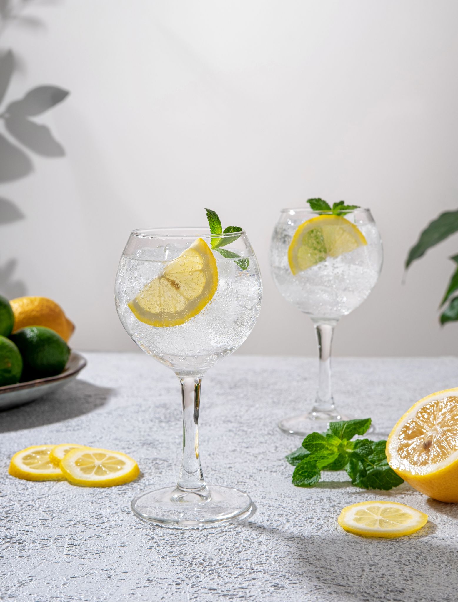 mermelada de gin tonic